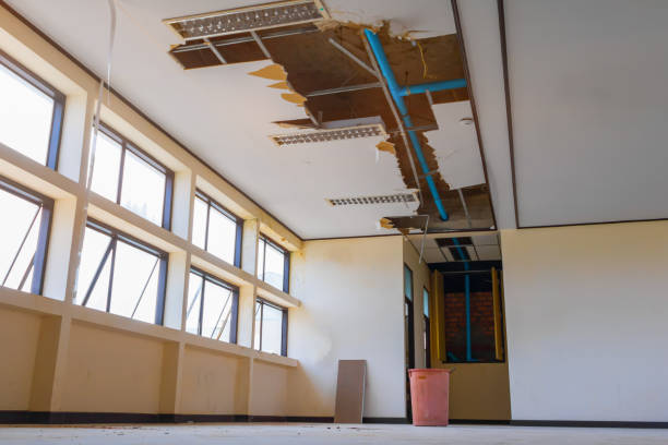 Best Local water damage restoration  in Martinez, GA