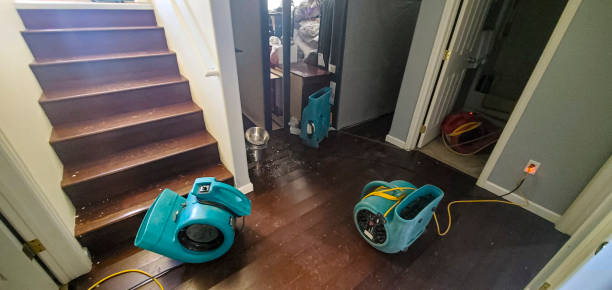 Best Flood damage cleanup  in Martinez, GA