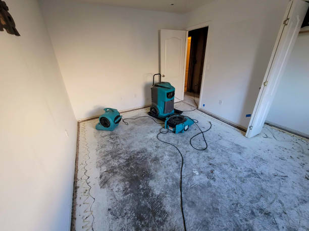 Best Flood restoration services  in Martinez, GA