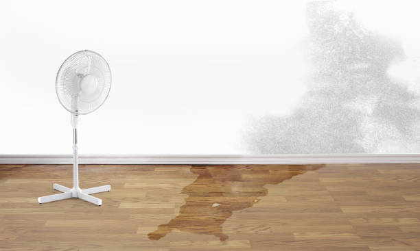 Best 24/7 water damage repair  in Martinez, GA