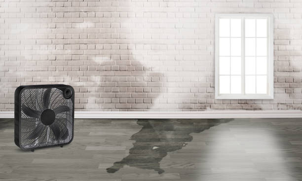 Best Water damage restoration services  in Martinez, GA